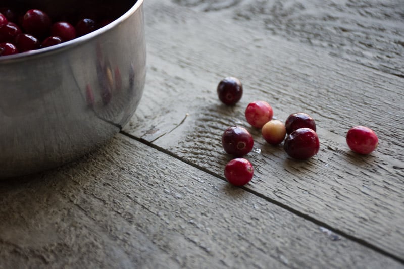 cranberry relish with horseradish and sour cream | www.nyssaskitchen.com