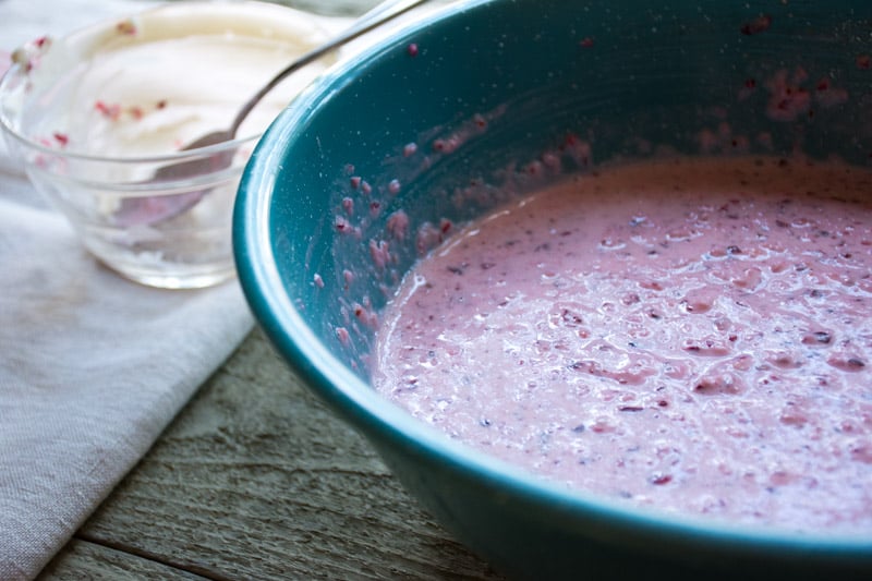 cranberry relish with horseradish and sour cream | www.nyssaskitchen.com