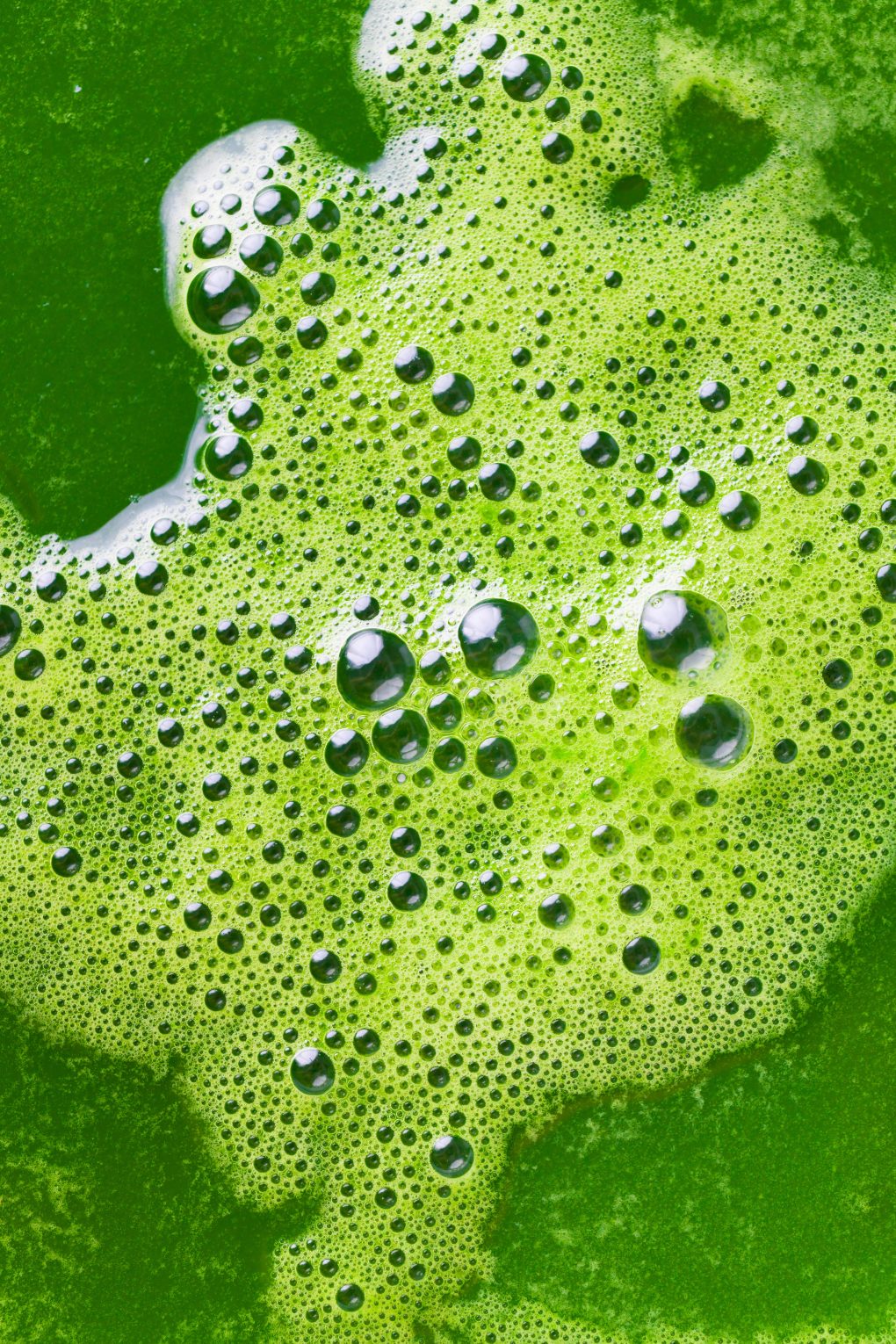 Overhead macro shot of the bubbles on top of the surface of green juice
