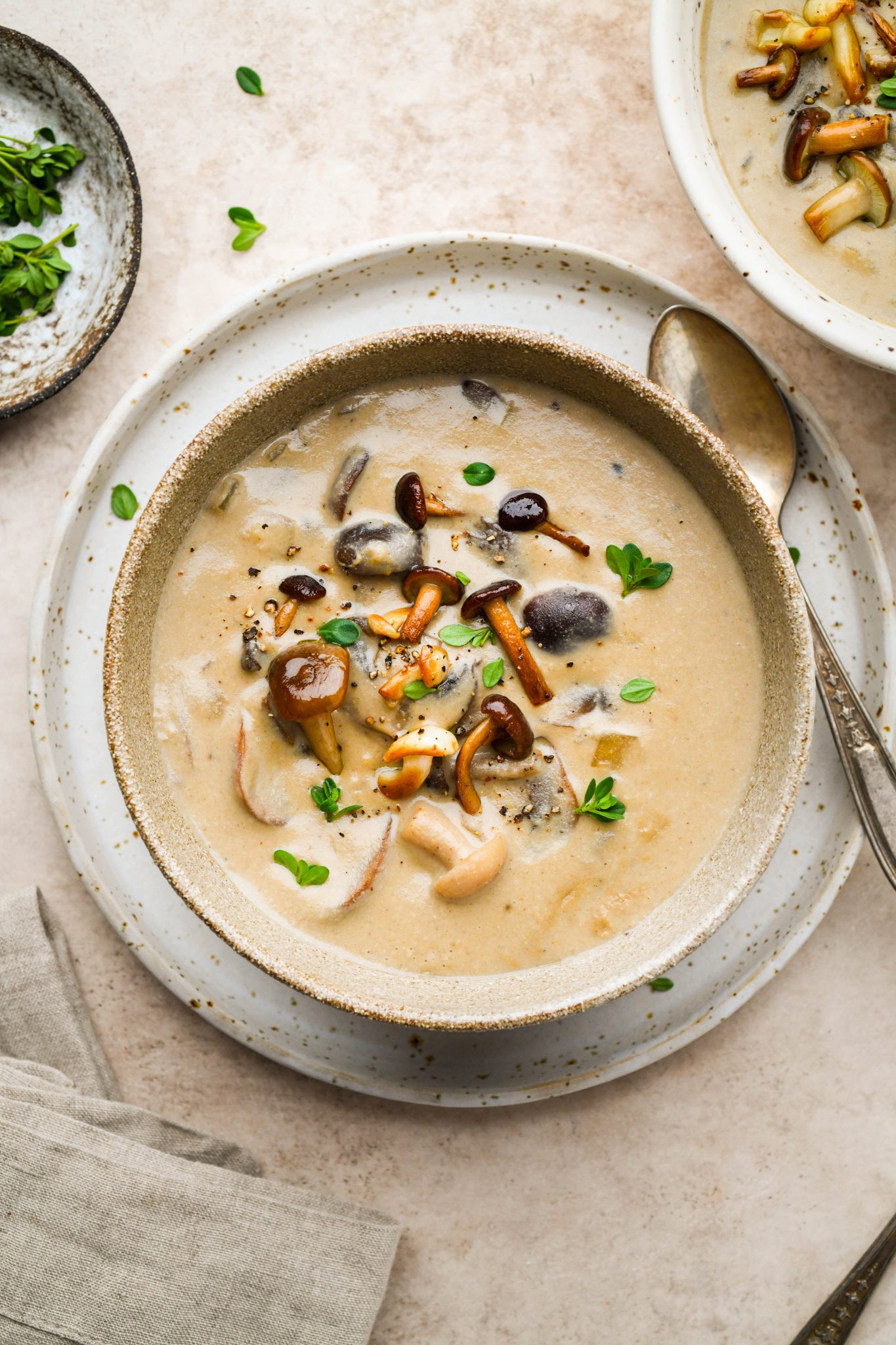 Cream of Mushroom Soup with Cashews (Dairy Free)