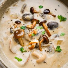 Cream of Mushroom Soup with Cashews (Dairy Free)
