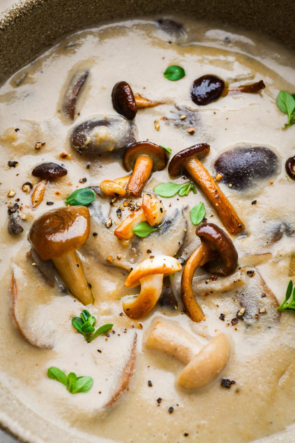 Close up of super creamy homemade cream of mushroom soup in a rustic brown ceramic bowl. Topped with sautéed mushrooms and fresh herbs. 