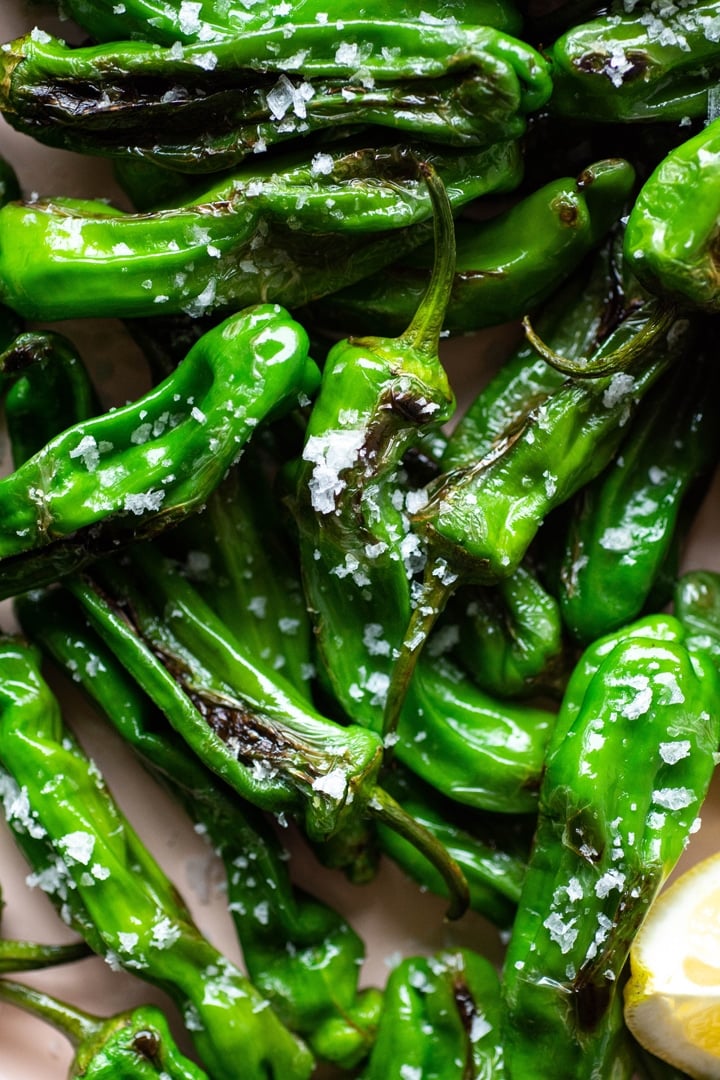 Super close up of blistered shishito peppers with flaky sea salt
