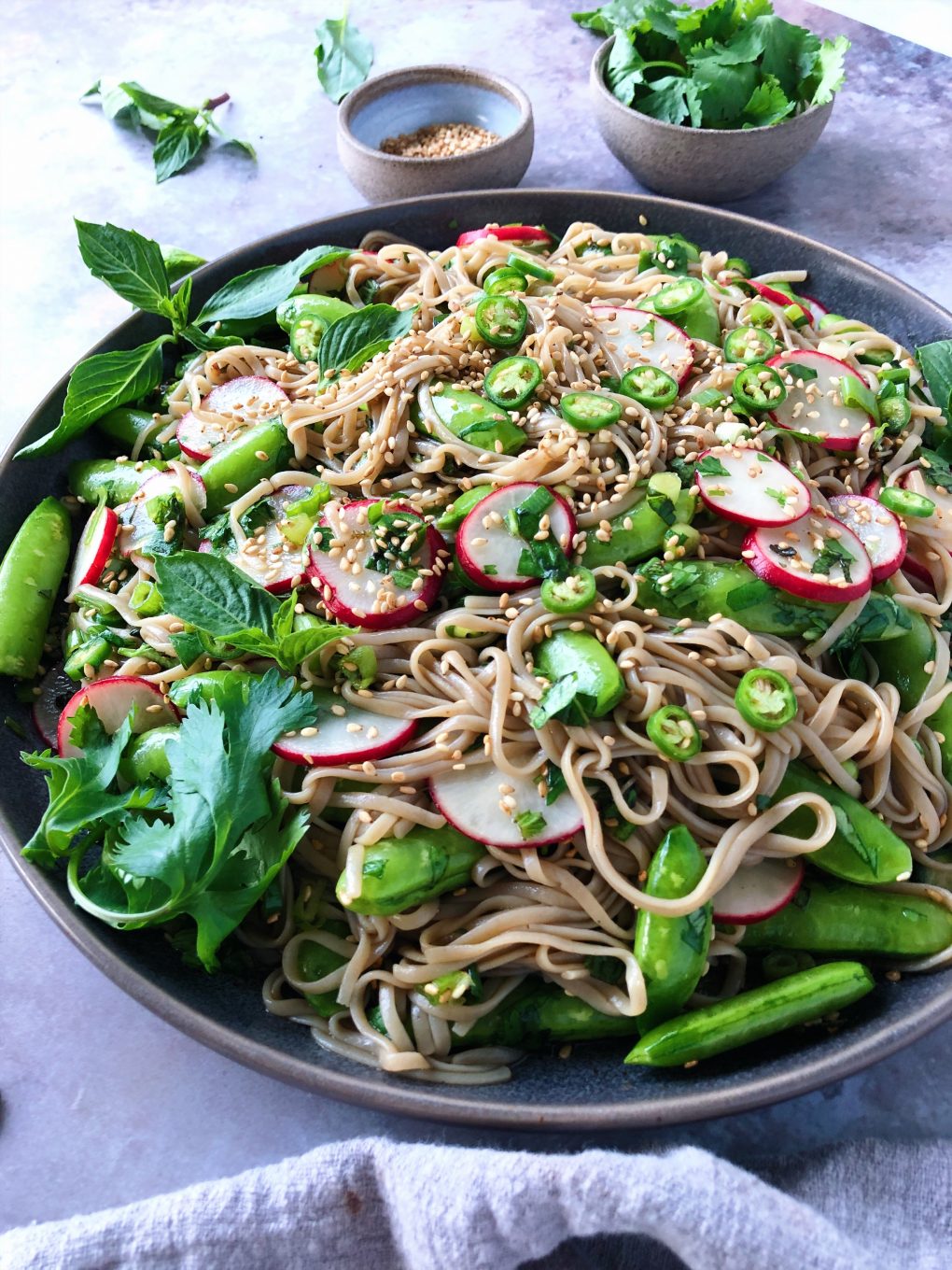 Side angle shot of vegan soba noodle salad with vegetables and herbs - sugar snap peas, radishes, chilies, and sesame seeds on a moody grey background