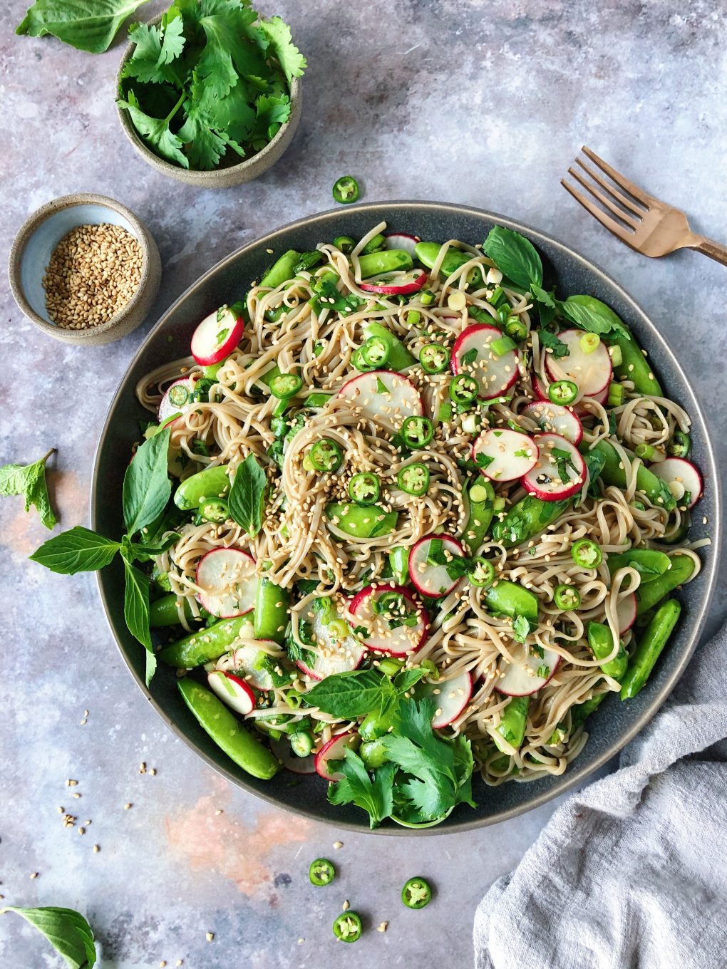 Vegan soba noodle salad with vegetables and herbs - sugar snap peas, radishes, chilies, and sesame seeds on a moody grey background