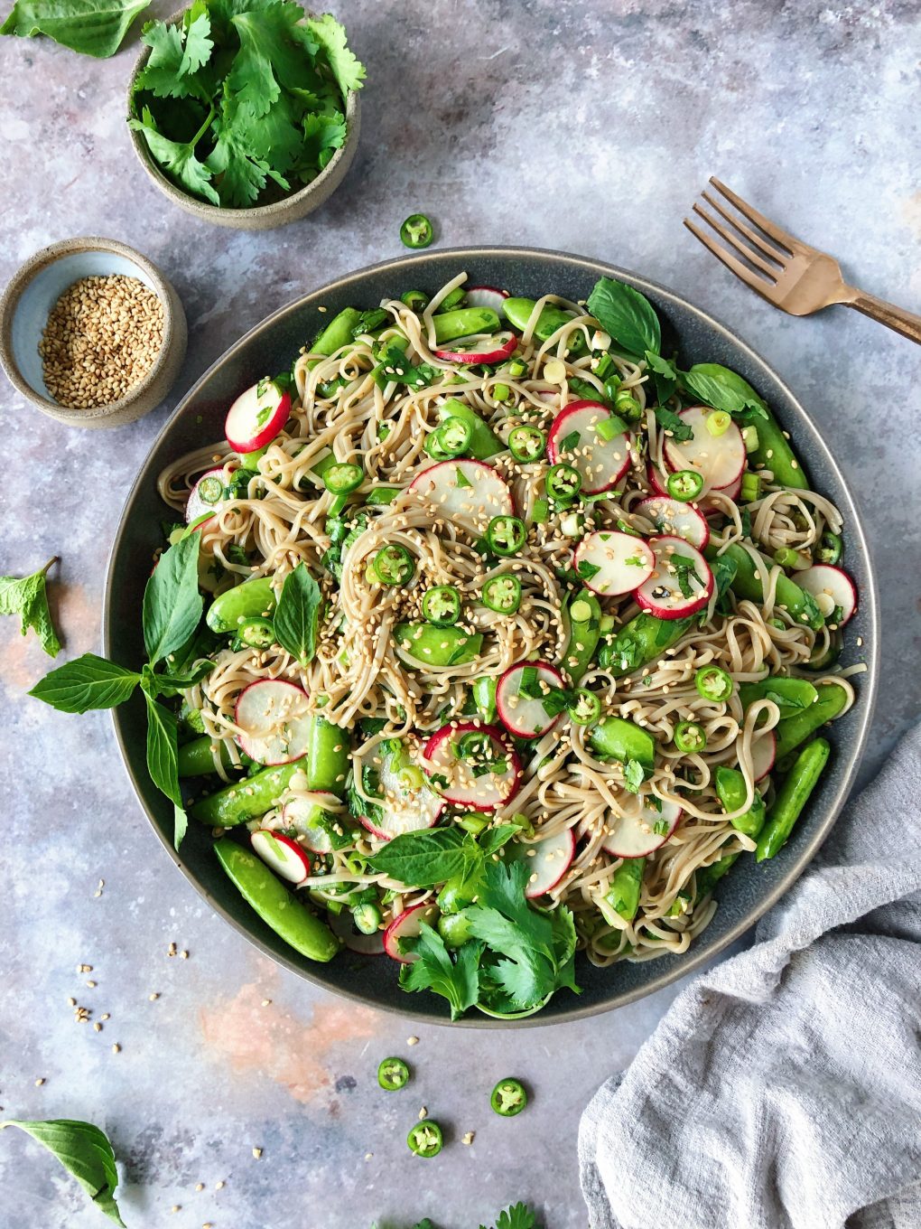 Vegan soba noodle salad with vegetables and herbs - sugar snap peas, radishes, chilies, and sesame seeds on a moody grey background