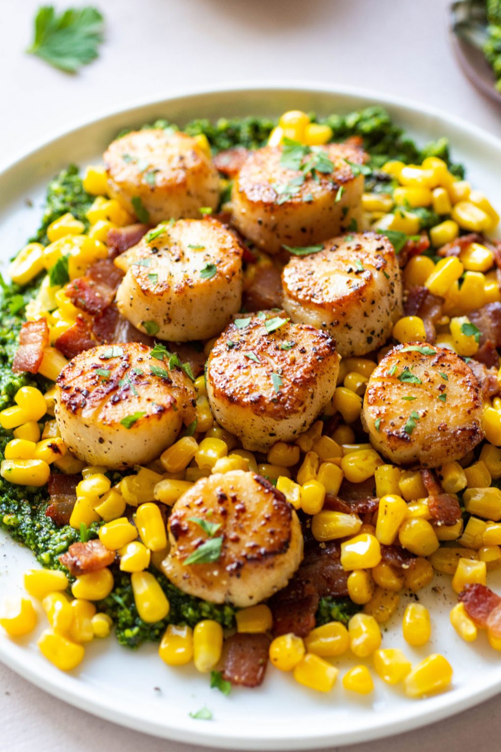 Side angle shot of perfectly seared scallops over a corn and bacon saute and kale pesto. On a round white plate placed on a light colored background.