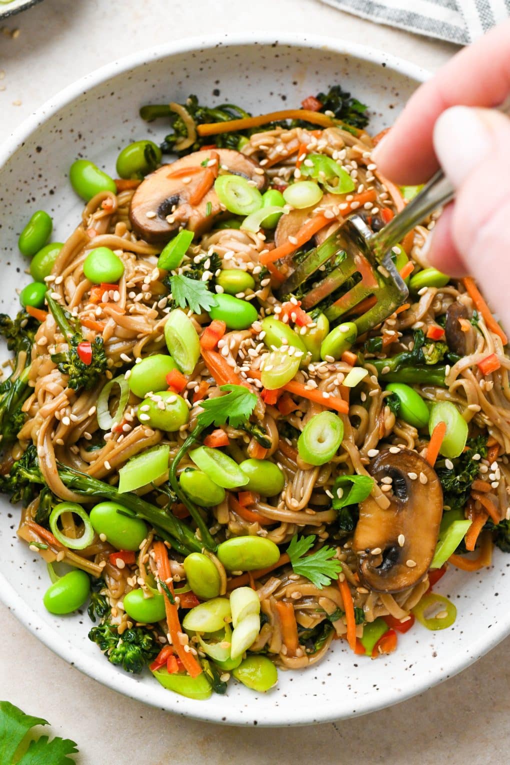 A fork digging into a bowl of soba noodle stir fry with lots of veggies in topped with green onions, sesame seeds, and cilantro.