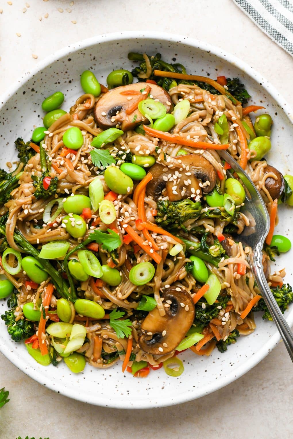 Soba noodle stir fry with lots of veggies in a small ceramic speckled bowl, topped with green onions, sesame seeds, and cilantro, and a fork angled out of the bowl like someone just took a bite.