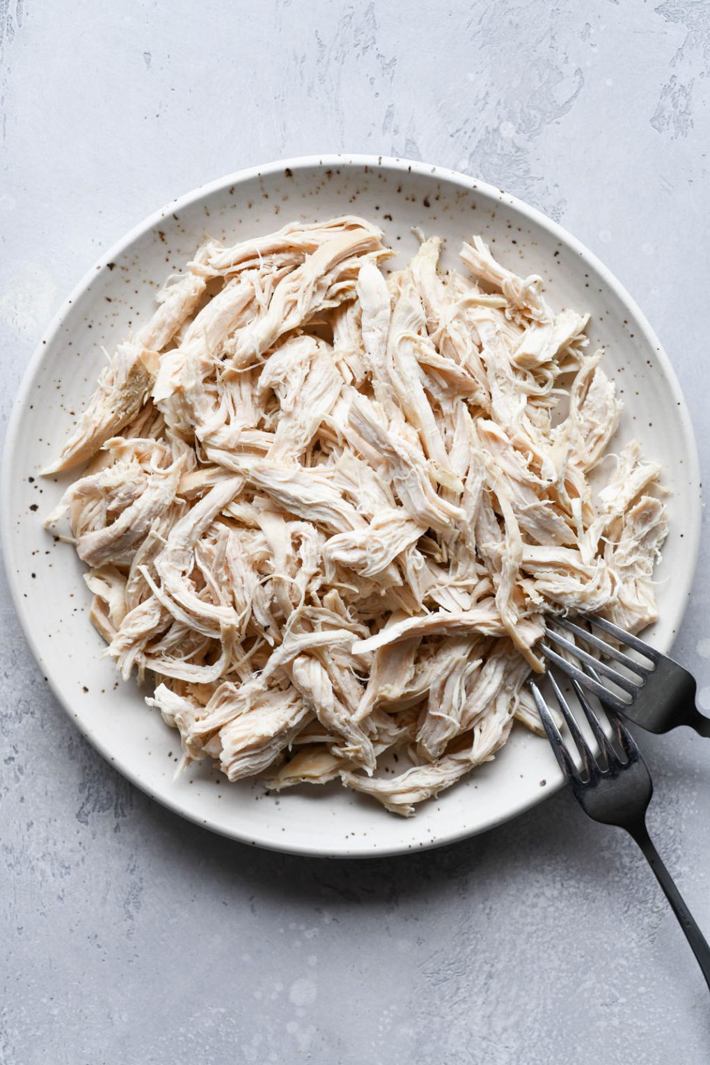 An overhead image of a small plate with cooked chicken breast shredded with two forks. 