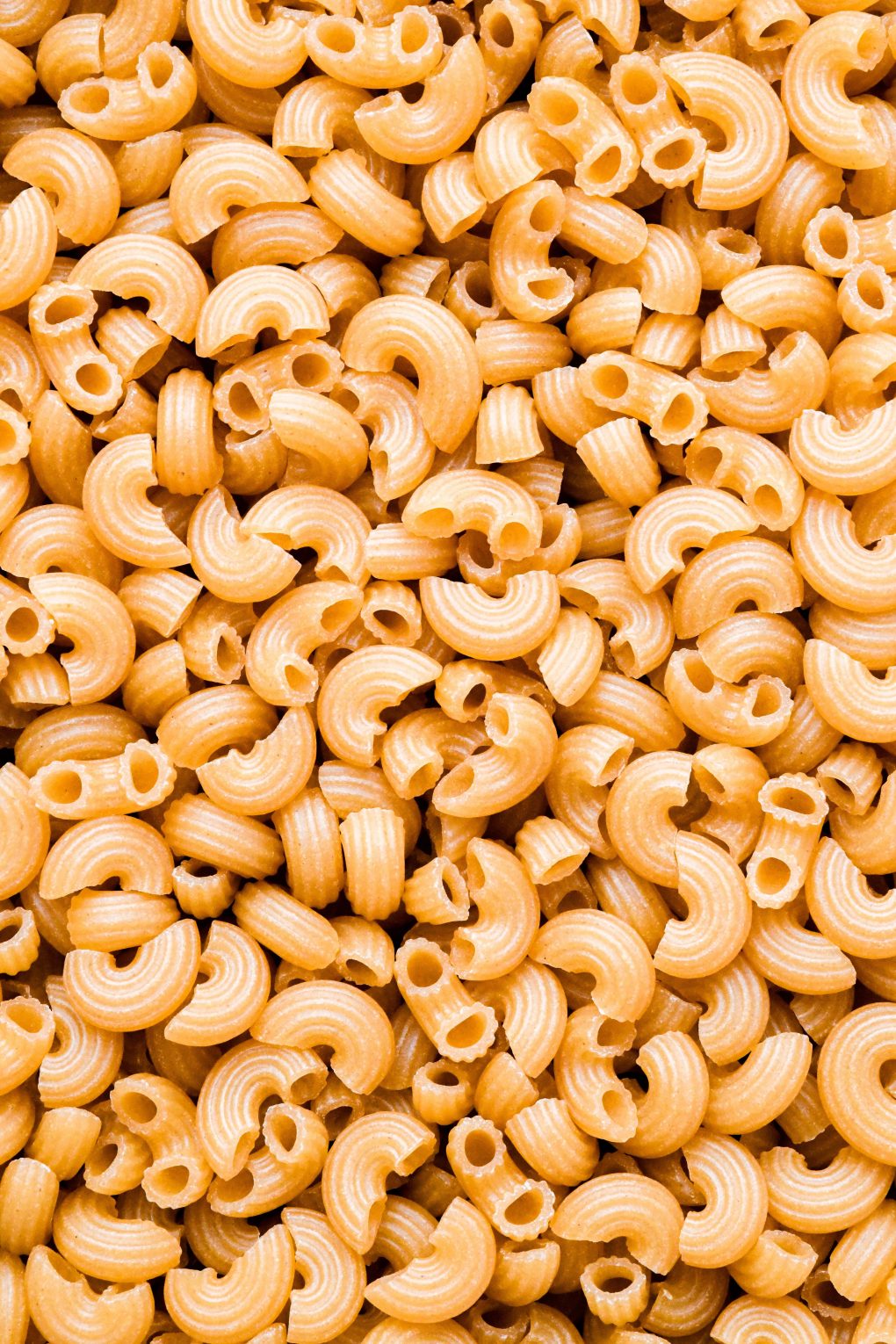 Super close up macro style shot of uncooked elbow macaroni pasta.