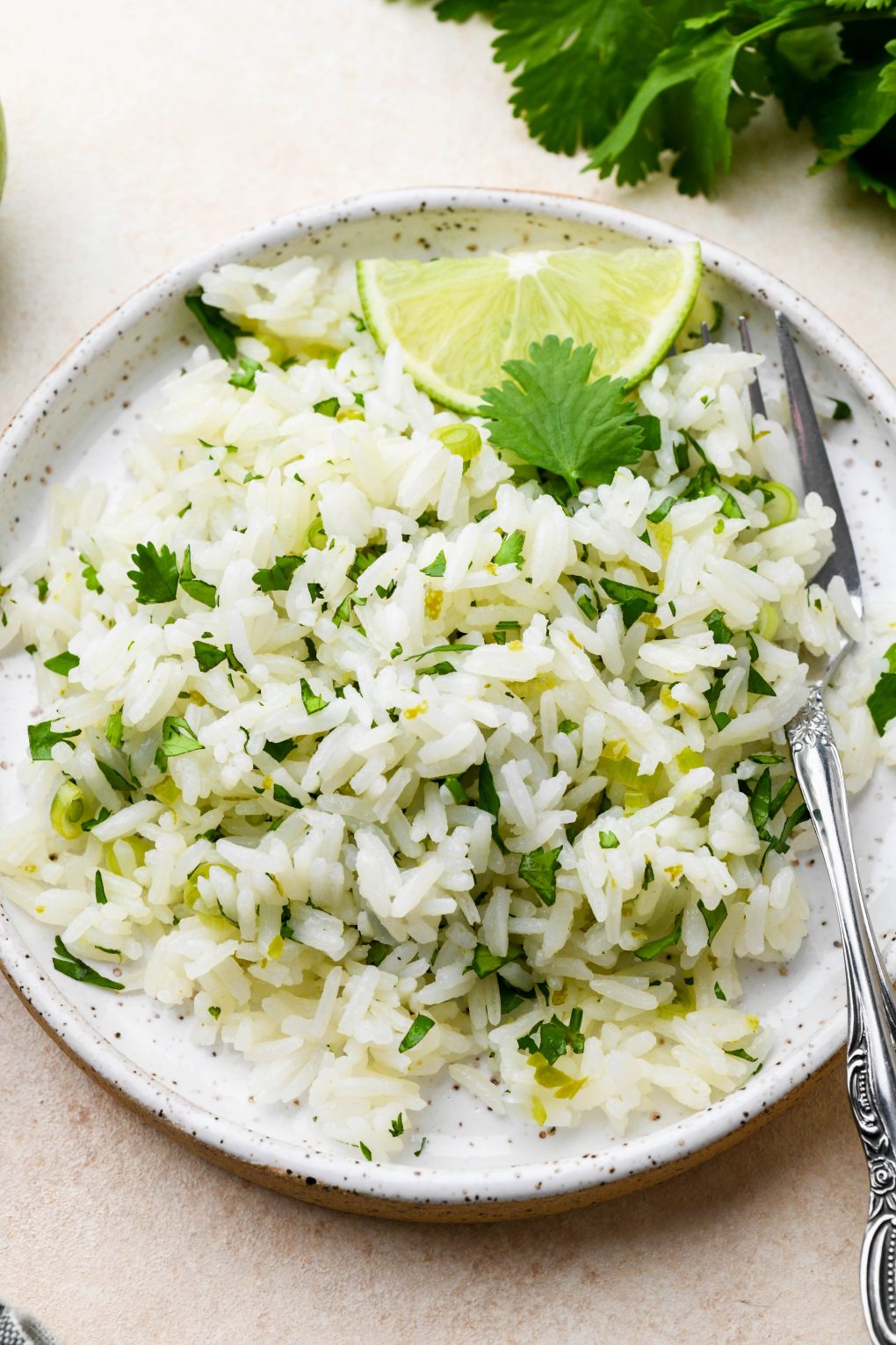 A small speckled ceramic plate of cilantro lime rice, topped with thinly sliced green onion, cilantro leaves, and lime wedges.