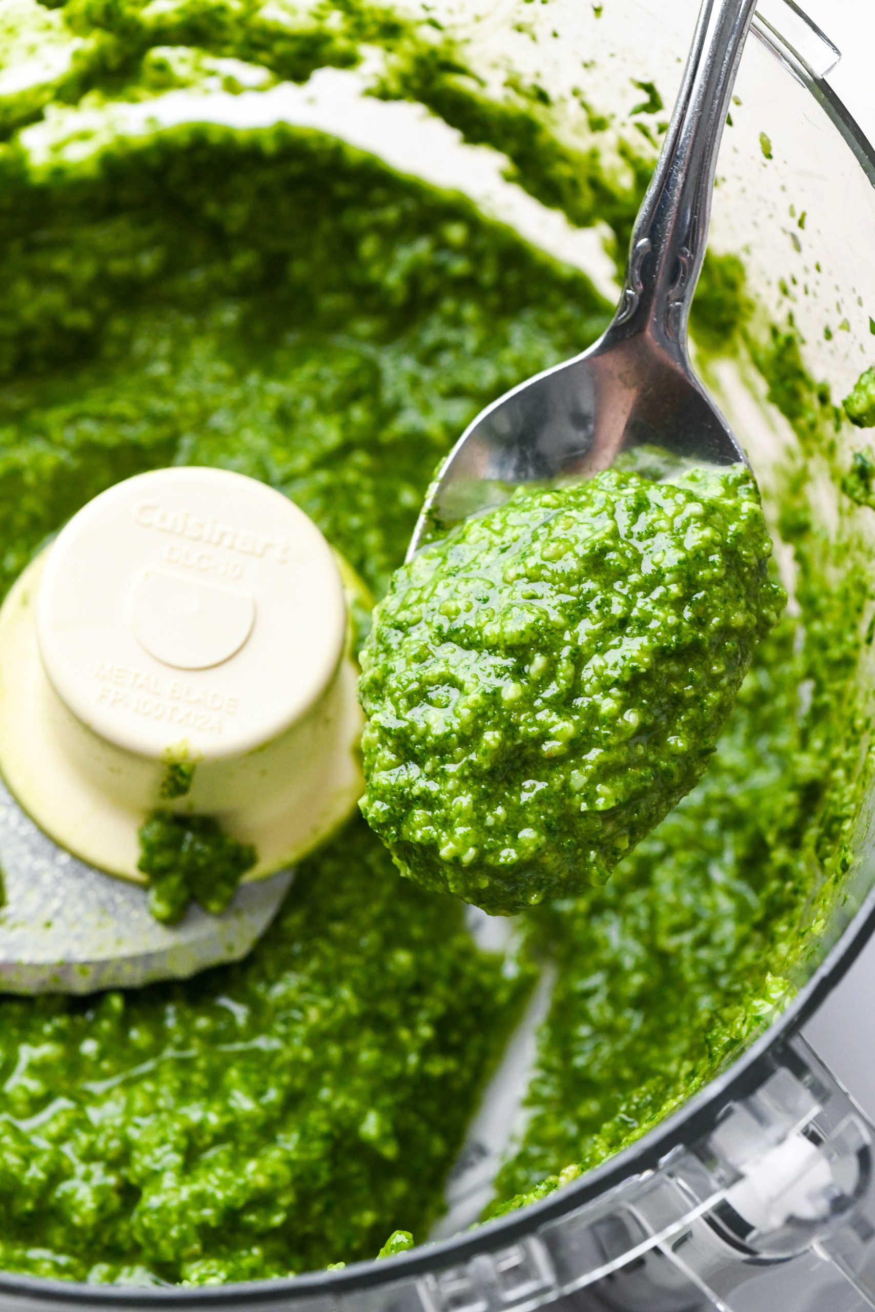 How to make homemade basil pesto: Finished creamy pesto in the bowl of food processor with a spoon scooping some out.