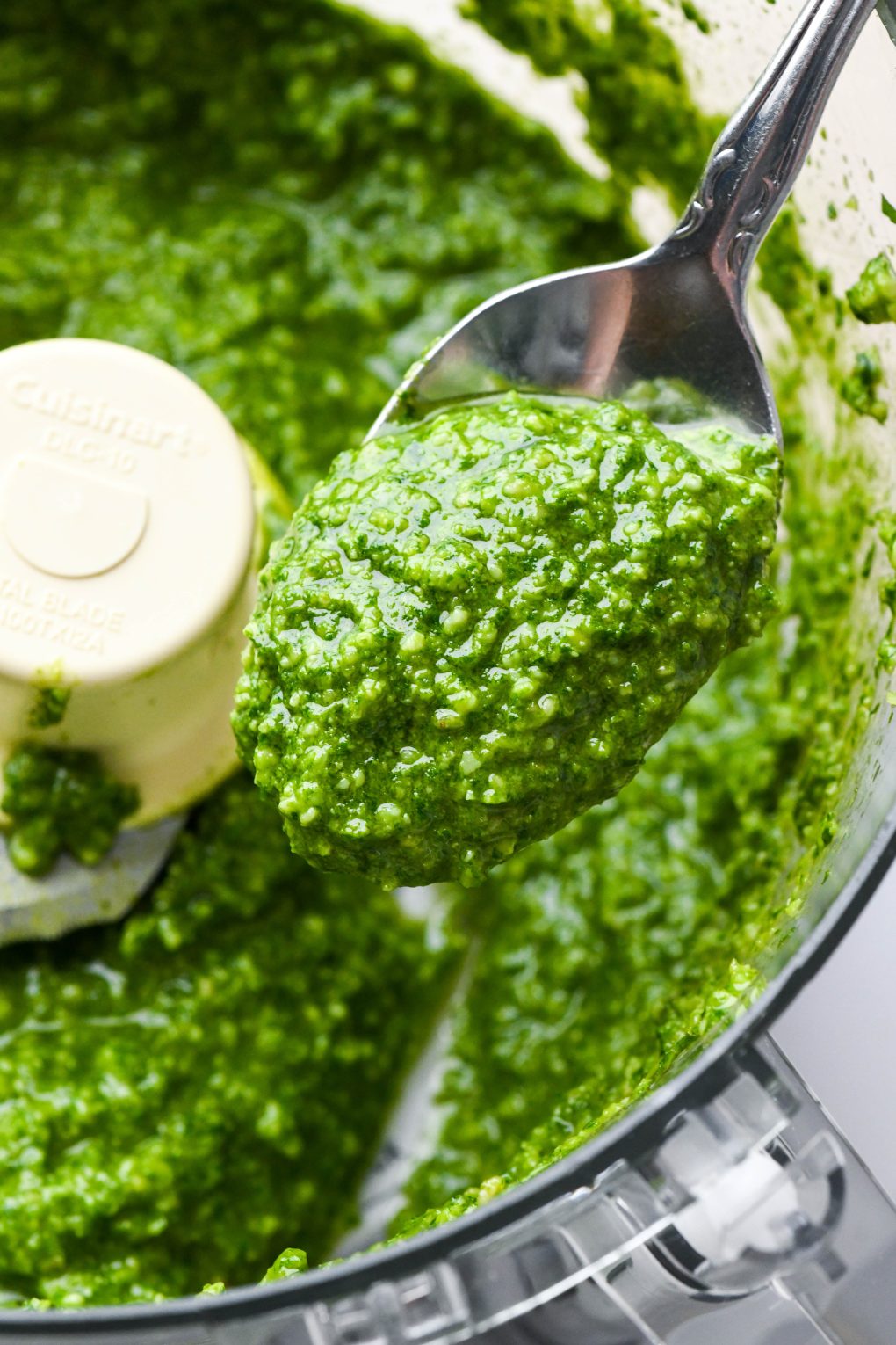How to make homemade basil pesto: Finished creamy pesto in the bowl of food processor with a spoon scooping some out.