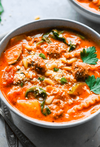 DAIRY FREE GLUTEN FREE LASAGNA SOUP-COVER IMAGE