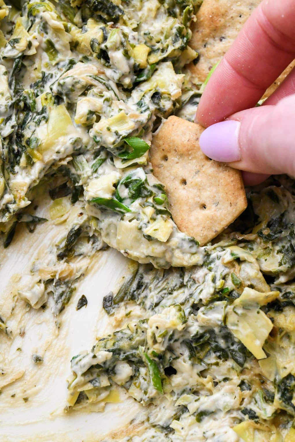 A hand holding a gluten free cracker scooping up some creamy spinach artichoke dip.