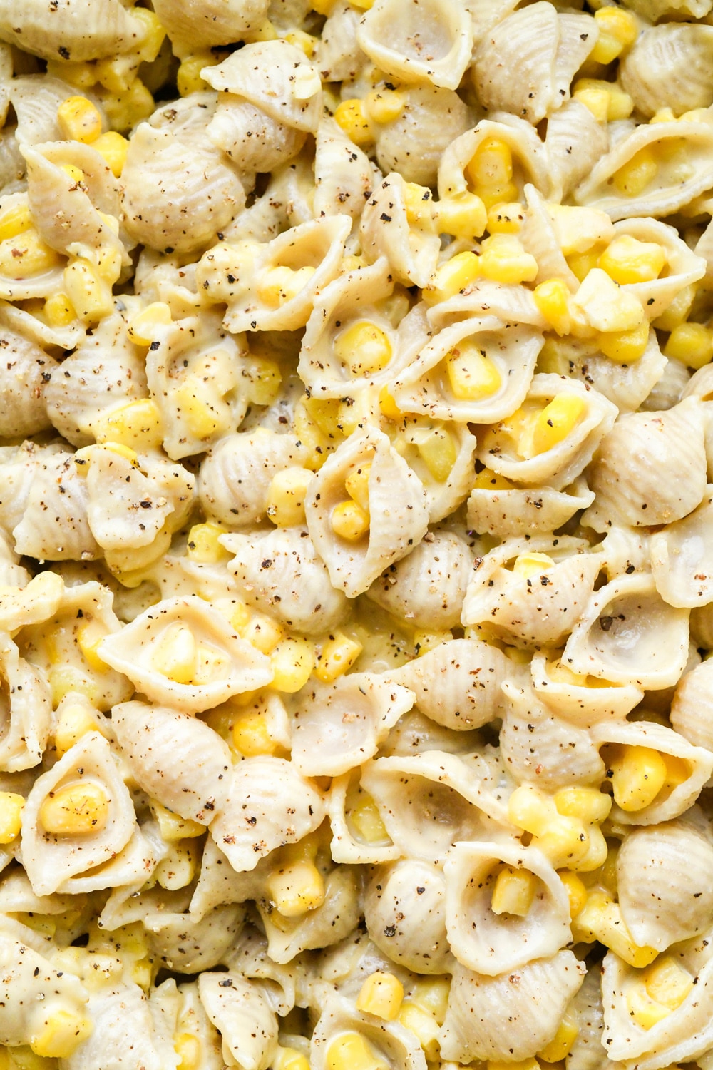 Close up shot of pasta shells and corn in creamy sauce.