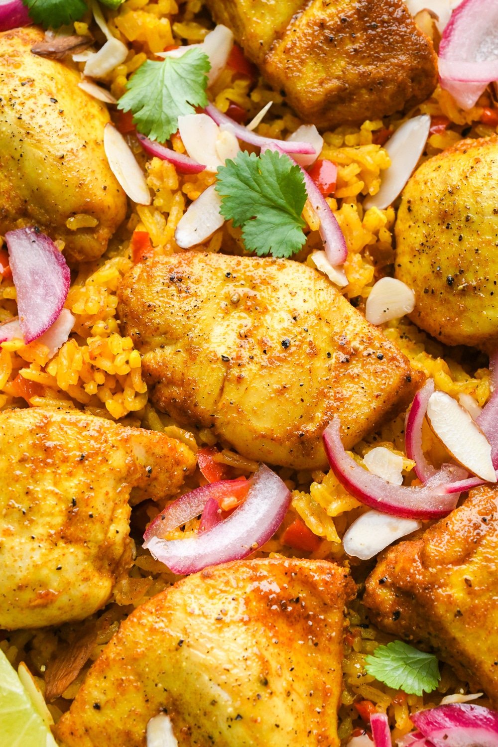 A close up image of cooked pieces of spiced chicken nestled into the fluffy rice and topped with colorful garnishes.
