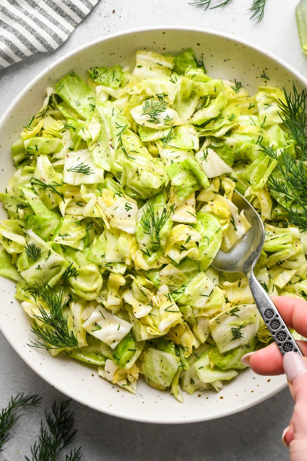 Chopped green cabbage salad with fresh dill in a large shallow serving bowl, garnished with extra sprigs of fresh dill and a spoon is dipping into the salad to lift out a portion for serving. 