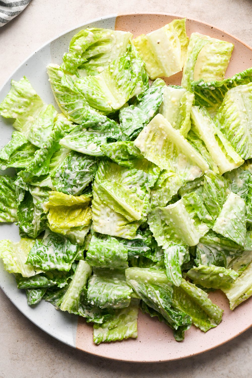 How to make a Caesar Salad with gluten free breadcrumbs: Caesar salad that has been tossed with dressing and Parmesan on a large ceramic serving platter. 