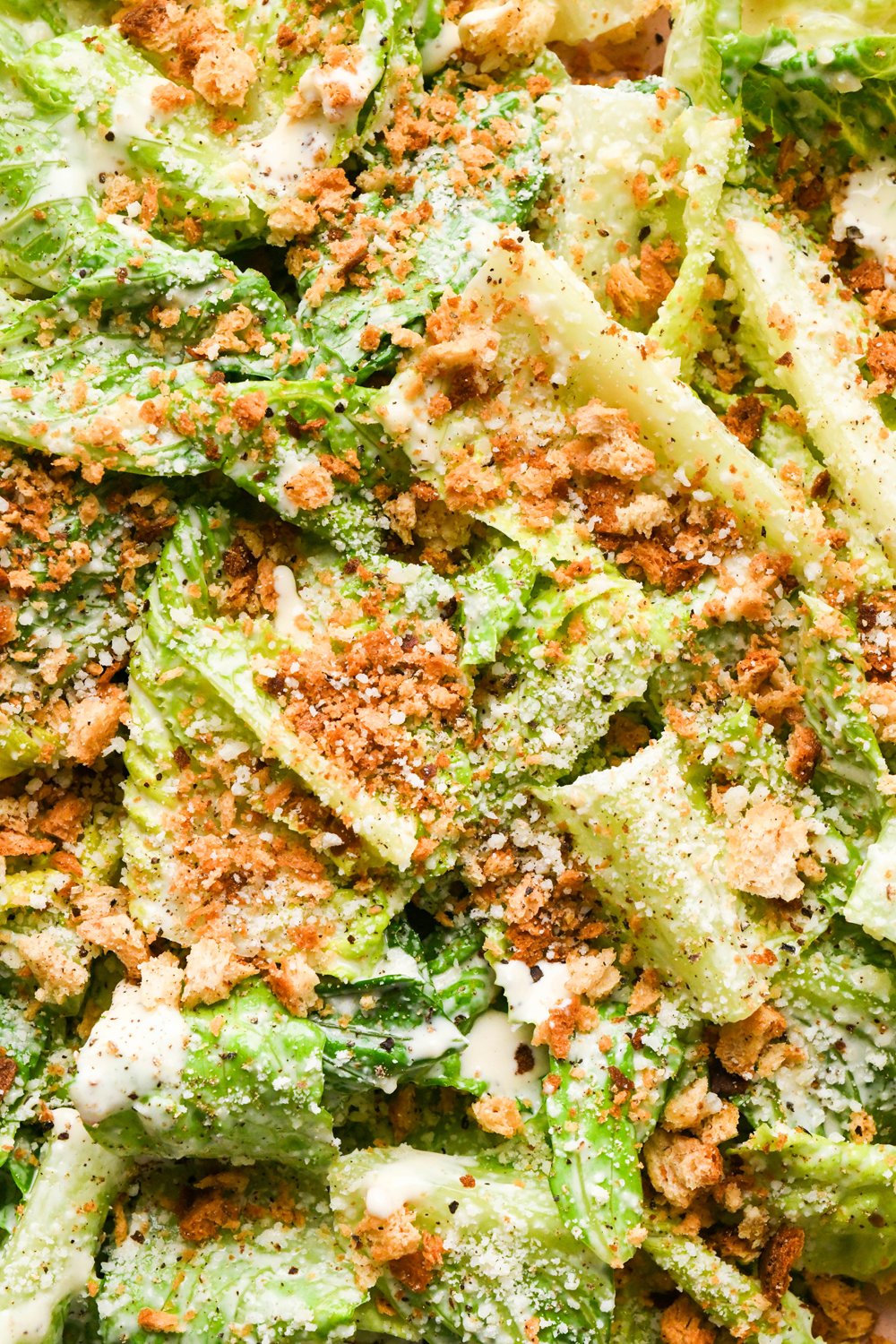 A super close up image of the leaves in a Caesar salad that are showered with grated parmesan and toasty GF breadcrumbs.