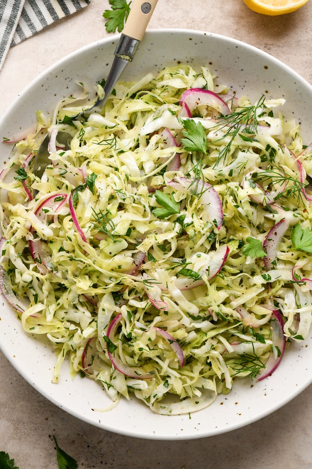 A white bowl filled with cabbage slaw, red onion slices, sliced fennel, fresh dill, and parsley, with a fork resting inside. The salad looks fresh and lightly dressed.