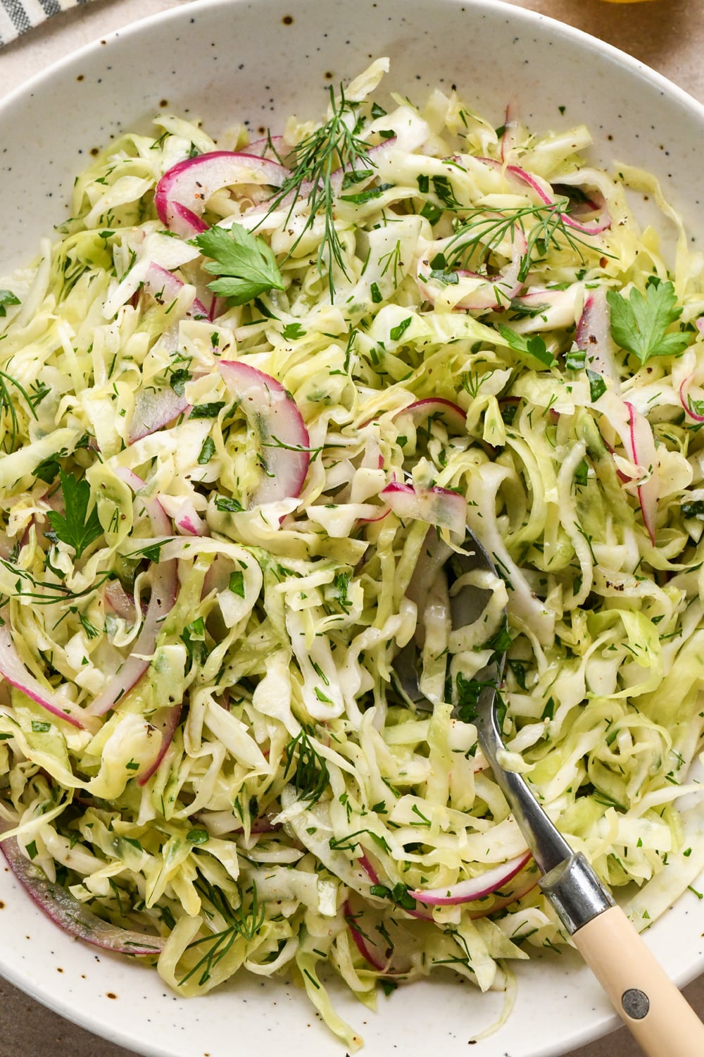 A bowl of slaw made with shredded cabbage, thinly sliced fennel, sliced red onions, fresh dill, and parsley, with a serving spoon with a white handle resting inside.