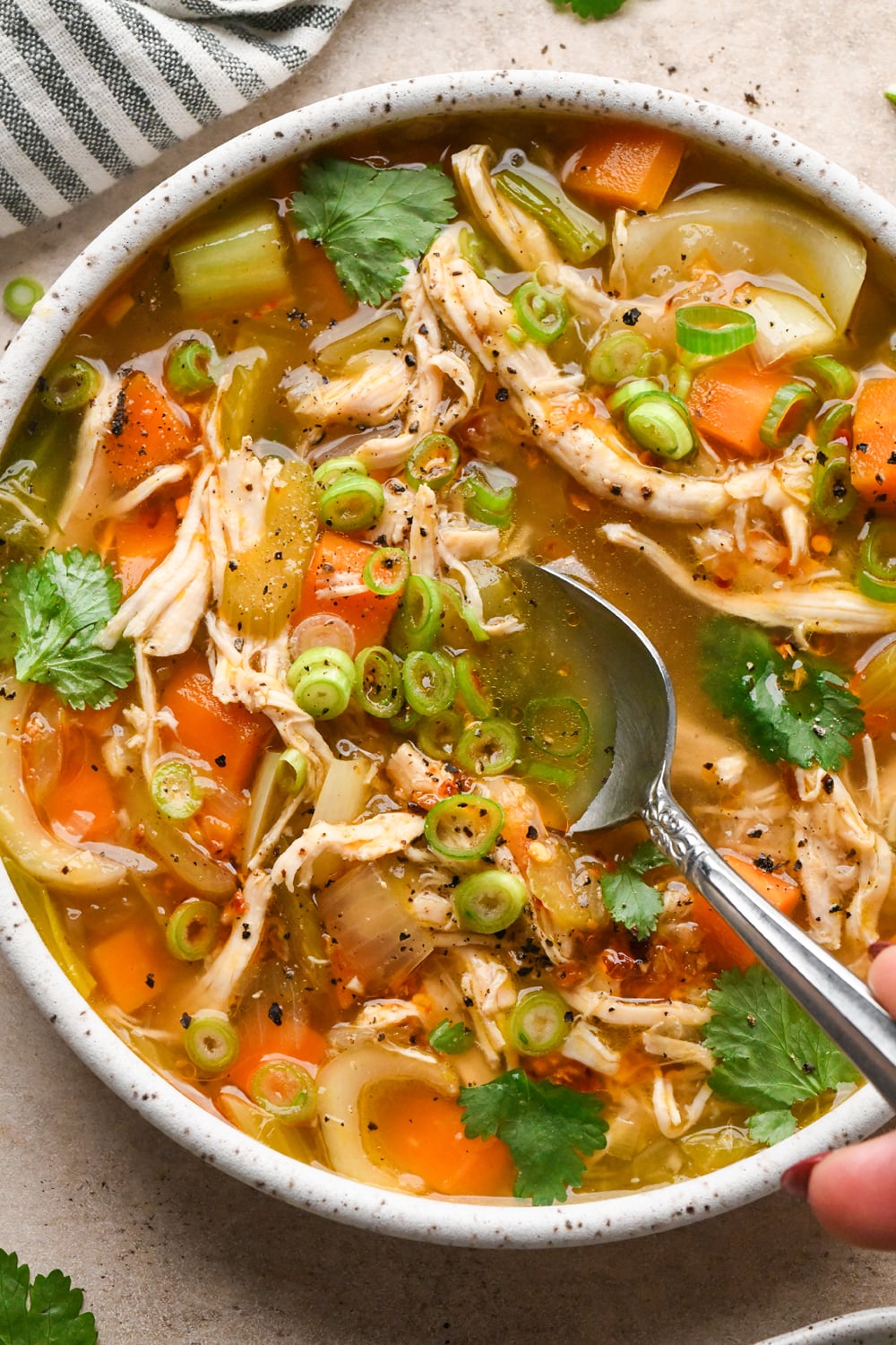 A spoonful of chicken soup with carrots, celery, and onions, garnished with green onions and cilantro in a speckled bowl.